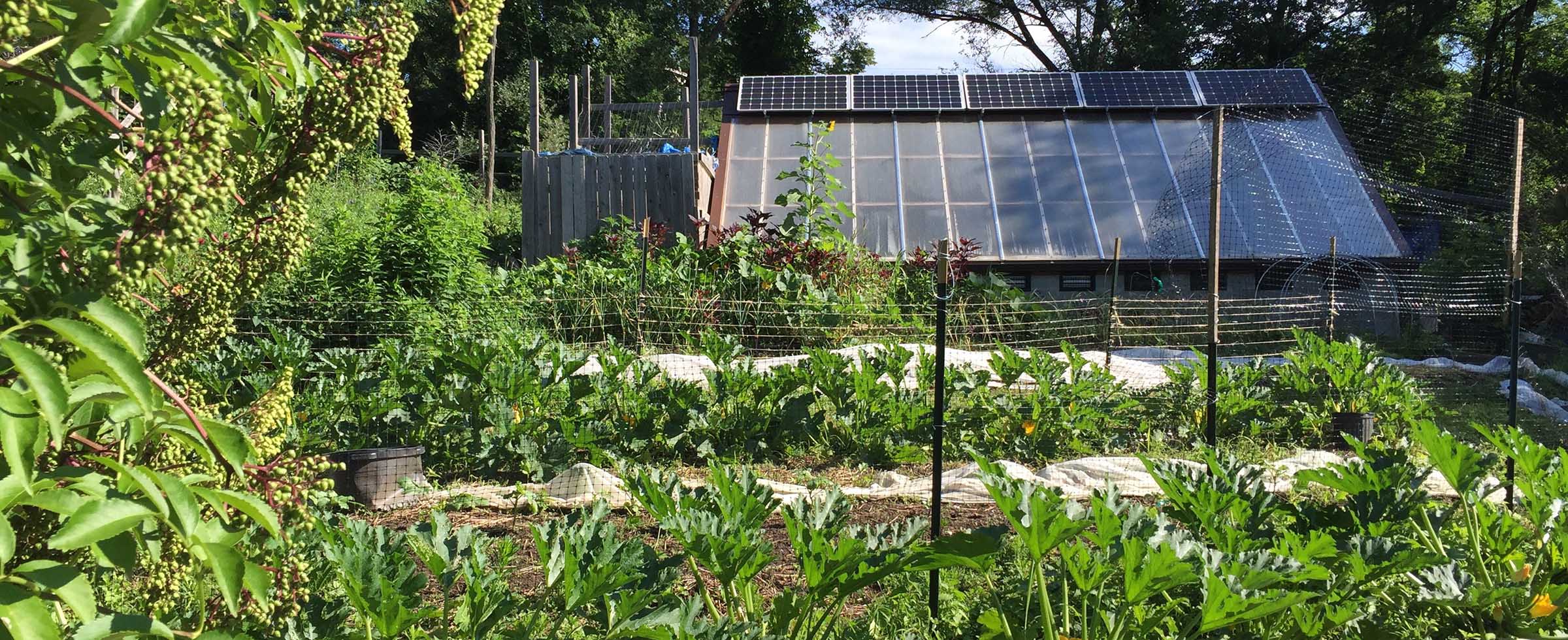 Small and Mighty Garfield Community Farm The Pittsburgh Foundation